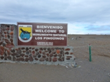 National Park Magellanic Penguines