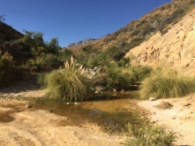 water hole on way from Hurtado to Vicuña