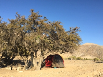 camp site way from Hurtado to Vicuña