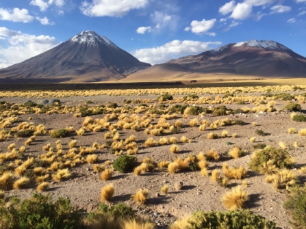 Volcán Licancabur und Láscar Altiplano
